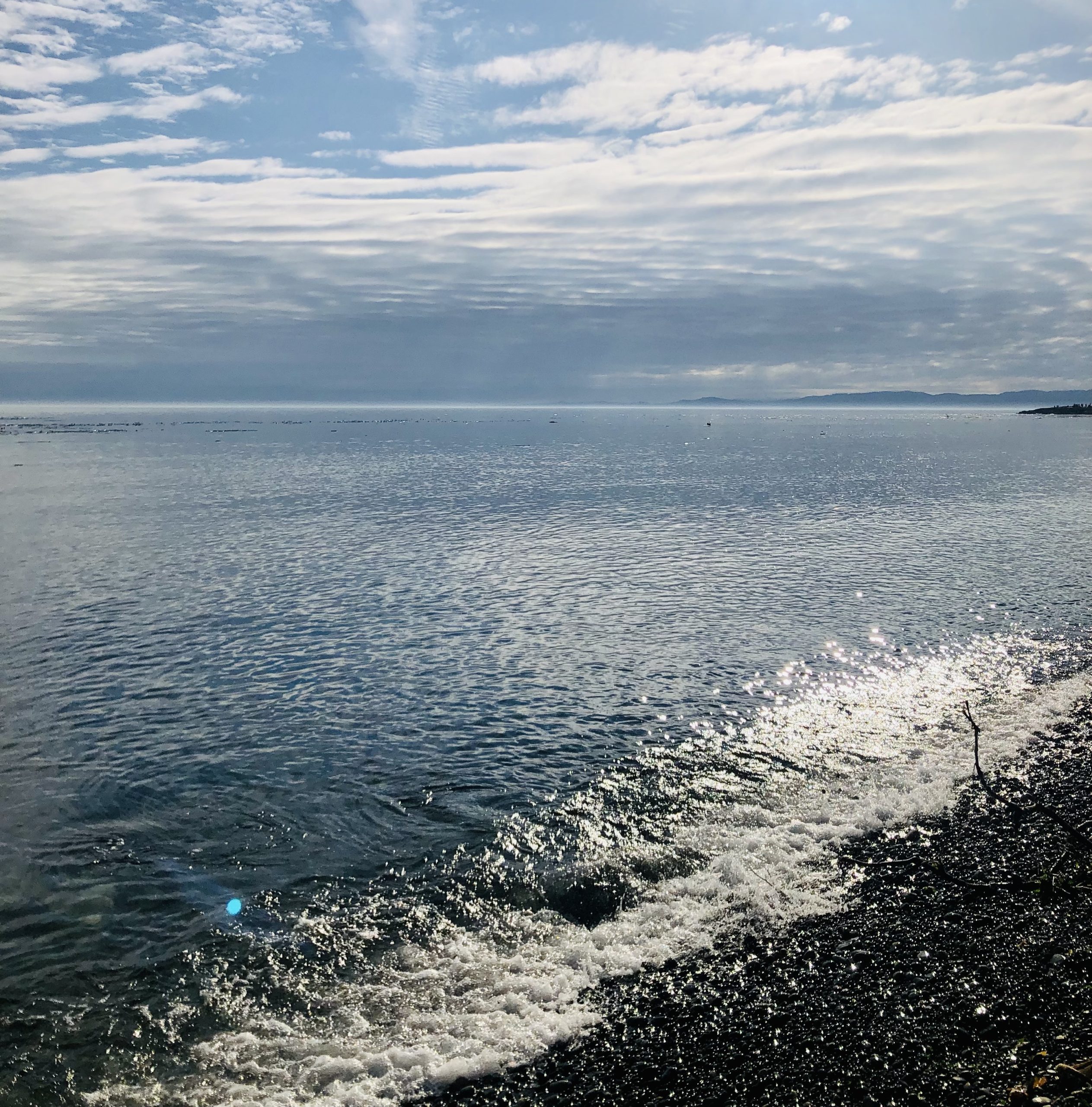 Reiki Practitioners Group